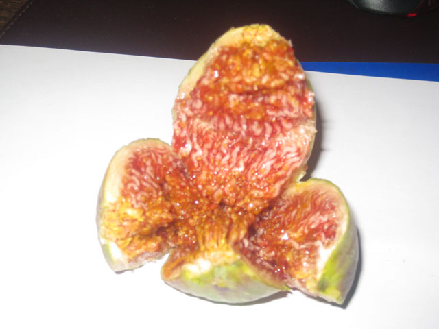 royal figs